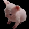 wowiezowie101's avatar