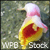WPB-Stock's avatar