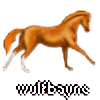 wulfbayne's avatar