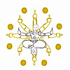 Wulpia's avatar