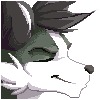 Wunderknodel's avatar