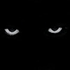 X-Cuch-X's avatar