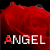 x-xAngelofMusicx-x's avatar