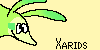 Xarids's avatar