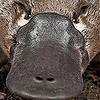 xcvz3's avatar