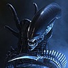 Xenomorph2022's avatar