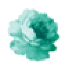 Xenowyrm-Rayne's avatar