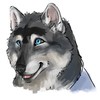 XerakRavenfur's avatar