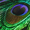xeth23's avatar