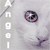 xoXFallen6-9AngelXox's avatar