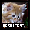xPony's avatar