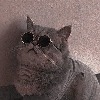 xReiDesigns's avatar
