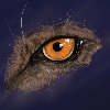 XTOMORROWX's avatar