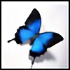 xxBlueButterflies's avatar