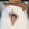 xXCorruptedBlueXx's avatar