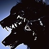 xXNightShadowXx1's avatar