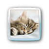xyqnnnn's avatar