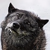 YadTheCreature's avatar