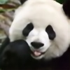 Yao-Niang's avatar