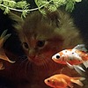 YashuArts's avatar