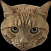YasminaMihaylovna's avatar