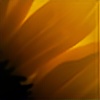 yellowpetals's avatar