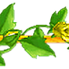 yellowrose2plz's avatar
