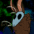 YiloisePiraya's avatar