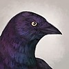 ynne-black's avatar