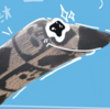 yogurtfurry's avatar