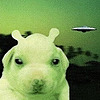yozhikss's avatar