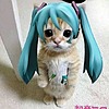 Yuckyfishguts's avatar