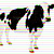 zbugni's avatar