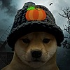 zeebeethedog's avatar