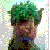 zenkly's avatar