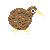 Ziblink's avatar