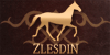 Zlesdin's avatar