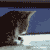 zoomincatplz's avatar