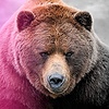 Zoomoofoo's avatar