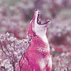 ZuchiJackal's avatar
