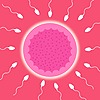 zygotte's avatar