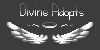 0-Divine-Adopts-0's avatar