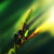 0mda :icon0mda: