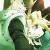 0okami-sama :icon0okami-sama: