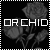 :icon0orchid: