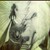100iceWOLF108 :icon100icewolf108: