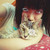 :icon29chelizi: