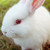 315228975 :icon315228975: