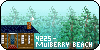 :icon4225-mulberry-beach: