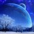 553465 :icon553465: